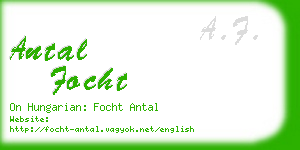 antal focht business card